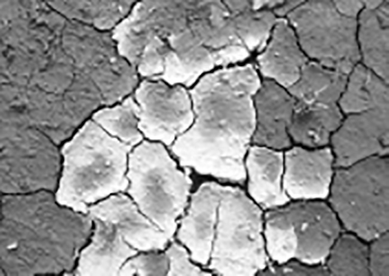 11月イメージ 11月イメージ